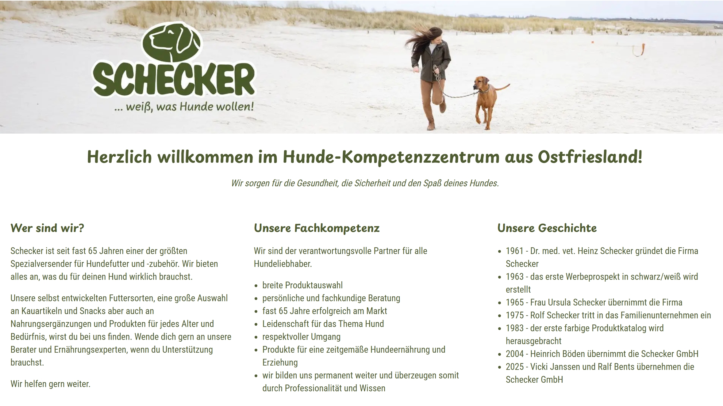 Screenshot Homepage Schecker GmbH